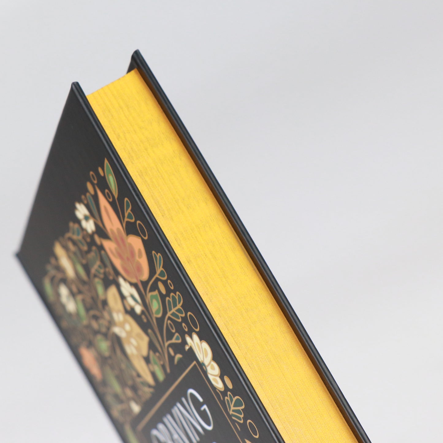 Craving Chaos - Special Edition Hardback