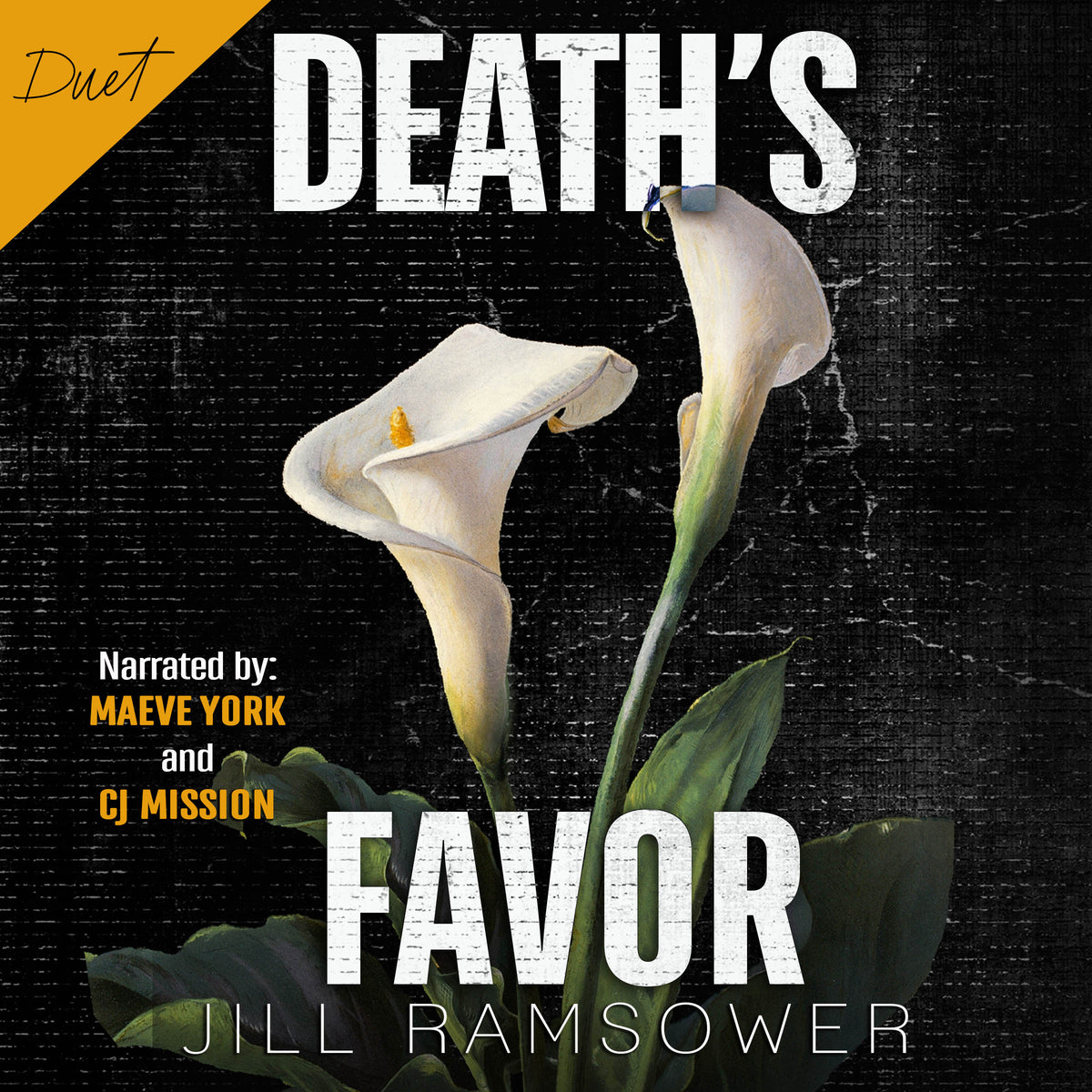 Death's Favor - Audiobook