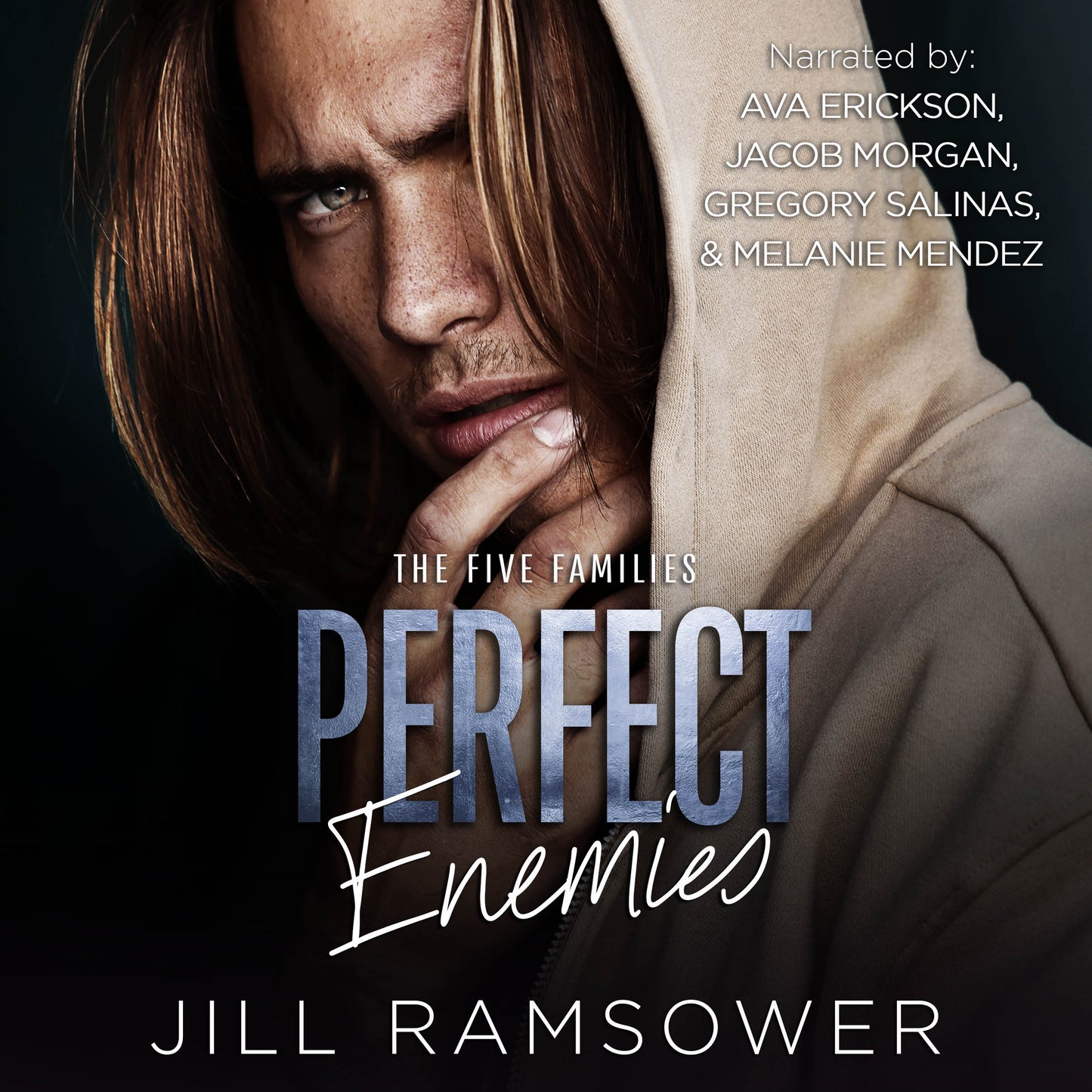Perfect Enemies - Audiobook