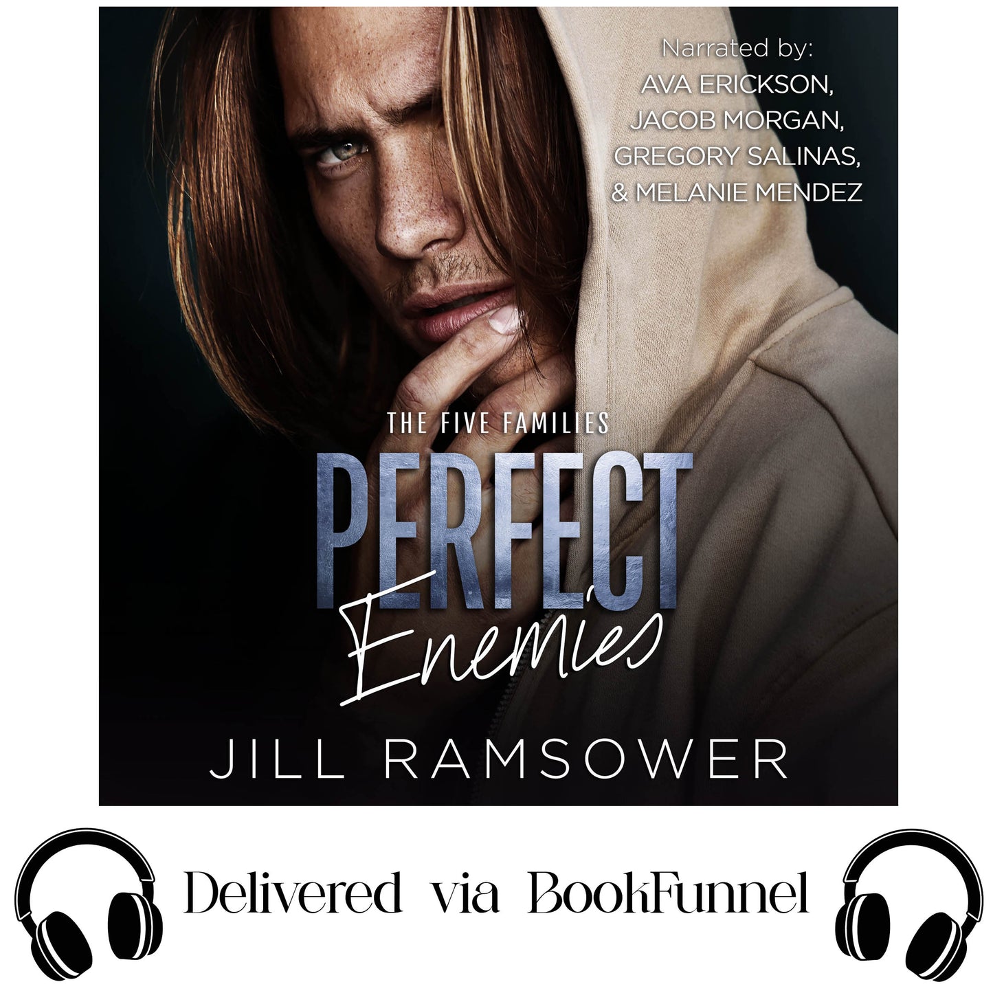 Perfect Enemies - Audiobook